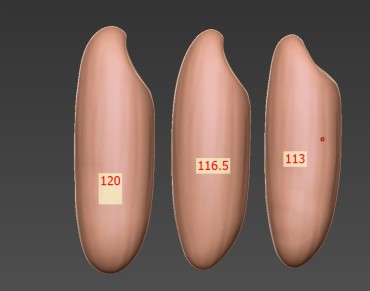 In 3D FMM lọ hoa theo yêu cầu-9