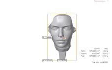 In 3D SLA mặt người In 3D SLA mặt người