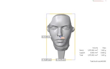 In 3D SLA mặt người