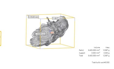 In 3D SLA bộ phận cơ thể người-4
