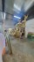 In 3D mô hình đàn chim kích thước khủng